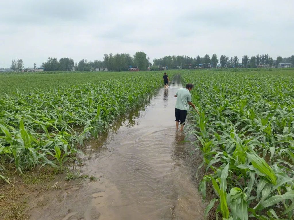 河南南阳社旗县遭遇极端暴雨，当地村民开展生产自救（视觉中国）