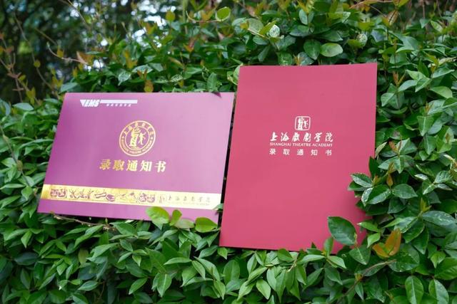 1956年,在校名几经变更后,上海戏剧学院正式确定了此名并沿用至今.