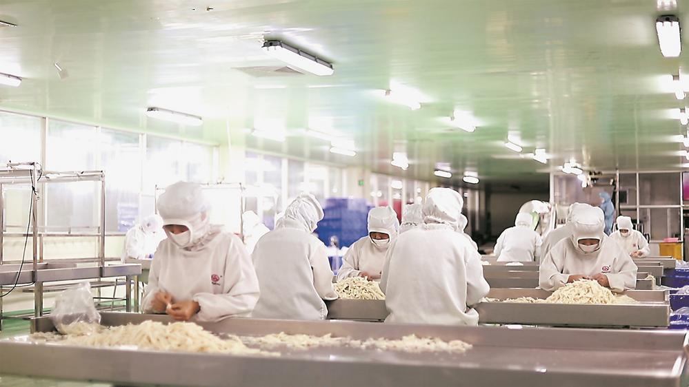 诏安:逐梦深蓝 向海求新