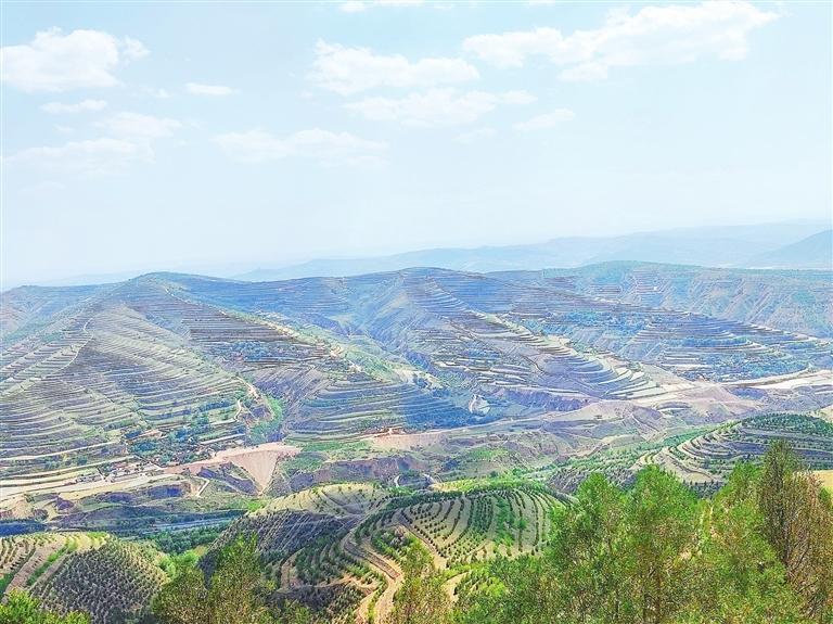 站在定西市安定区凤翔镇响河村的响河梁上,远望整个响河流域,山峁好似