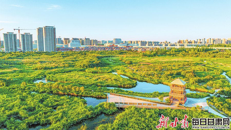 【新甘肃云·融媒集萃】兰州新区上演"城市蝶变记"