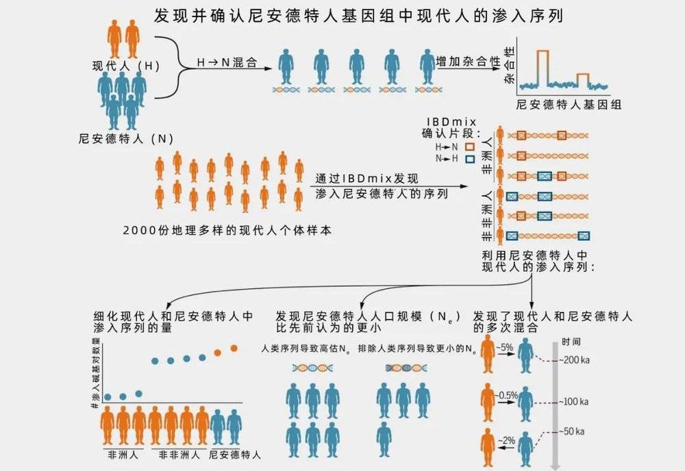 改寫尼安德特人與現代人的接觸史 - 新浪香港