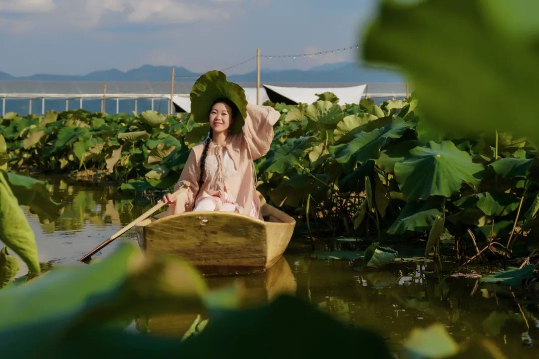 正是赏荷的最佳季节农场老板特意买了小船,供大家划船游玩舟行荷花丛