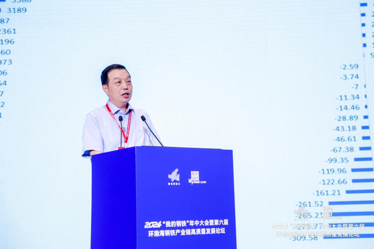 中国钢铁工业协会总经济师 王颖生