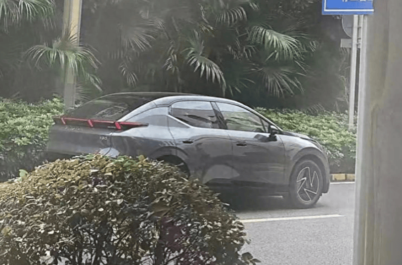 场纪陈戌为教死抱往被子