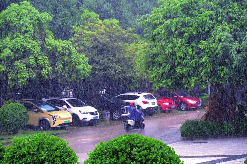 “派比安”今晨或登陆广西带来强风雨|台风_新浪财经_新浪网