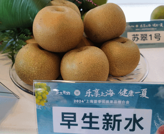 优质地产梨集锦。 陈玺撼摄