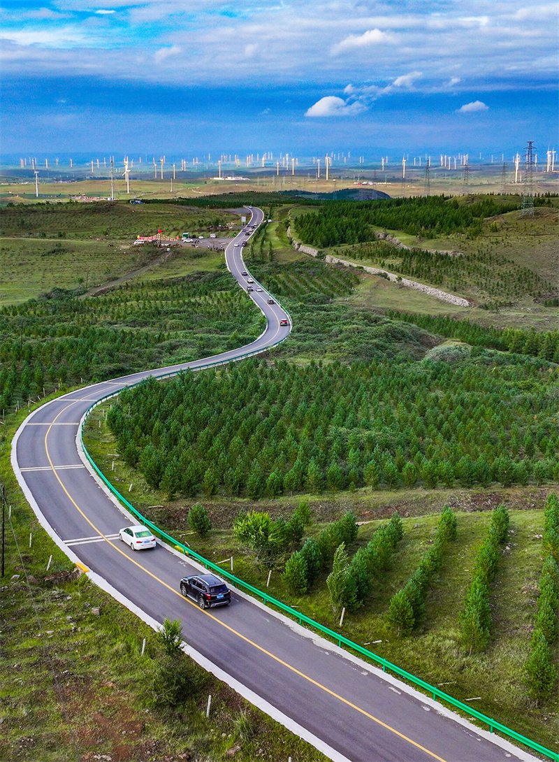 河北日报记者 赵永辉摄7月16日拍摄的衡水市冀州区小辛集