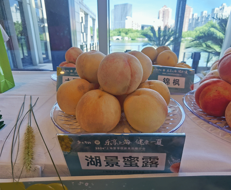 优质地产桃子集锦。 陈玺撼摄