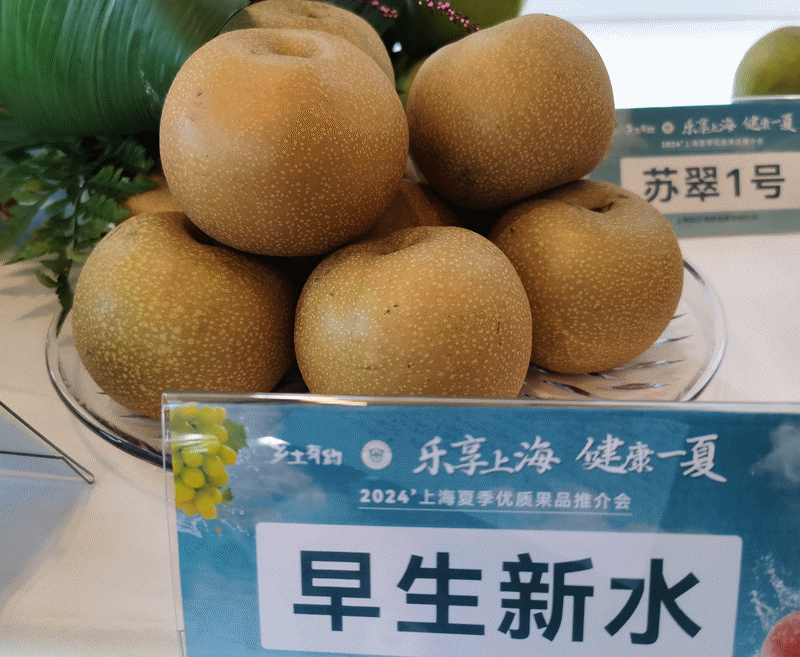 优质地产梨集锦。 陈玺撼摄