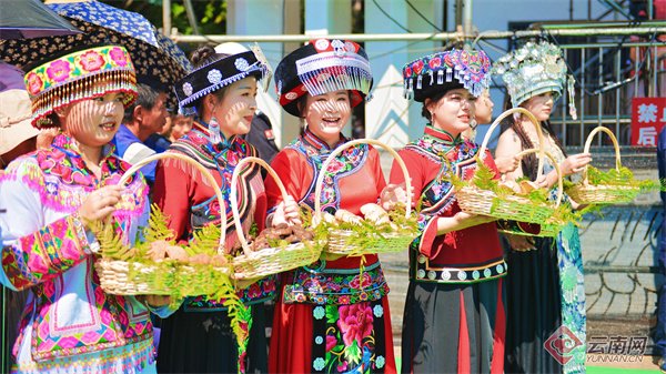 第二十届中国·云南野生食用菌交易会开幕式