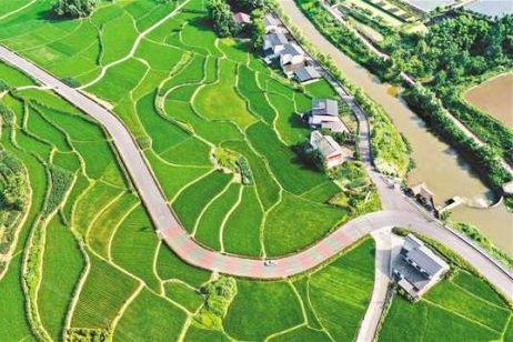 农业农村部：农业绿色发展取得积极成效 China sees marked improvement in green agricultural development