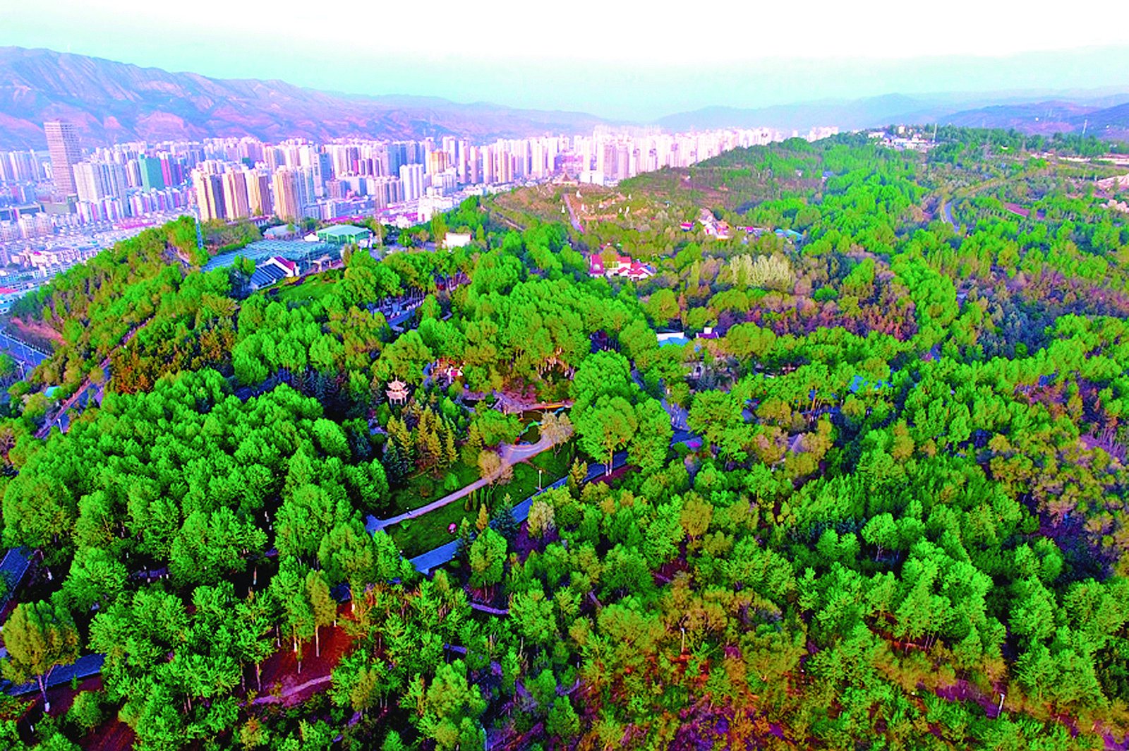 南山公园夏景 西宁市林草局供图