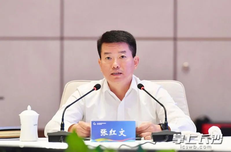 安徽省委常委,合肥市委书记张红文讲话. 