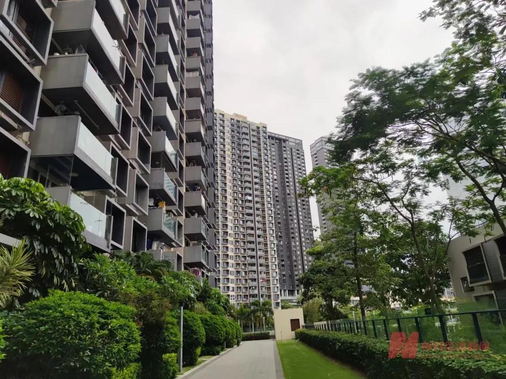 深圳半岛城邦小区 每日经济新闻资料图