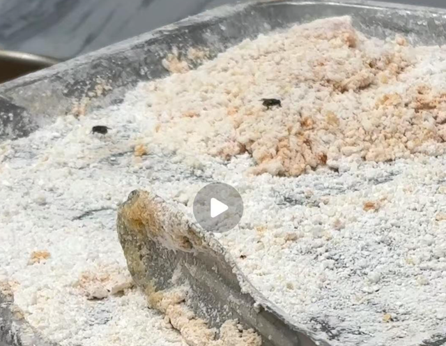 徐女士向记者提供的疑似苍蝇落在鸡排裹粉上的视频截图