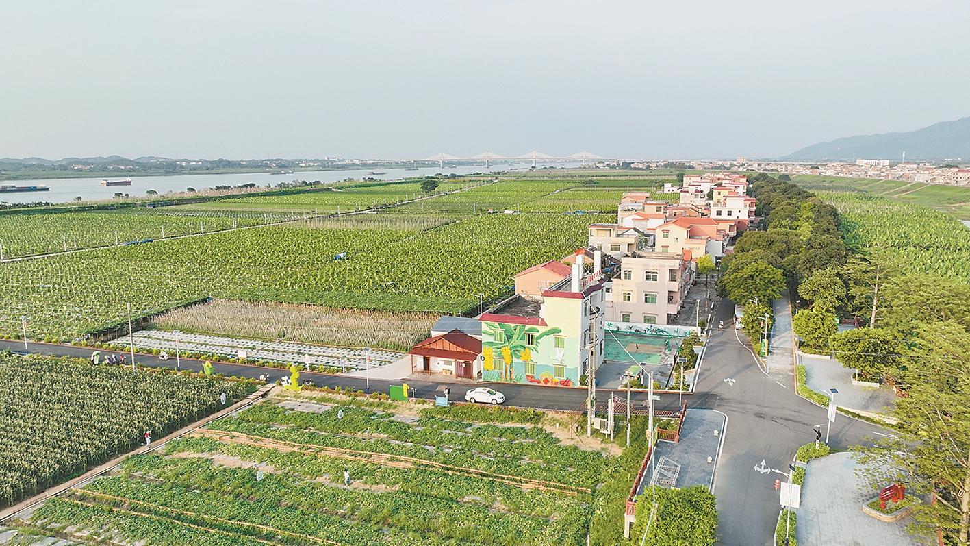 2024年鼎湖区人口_碧桂园所持股权被冻结;特斯拉诉西安“刹车失灵”女车主胜