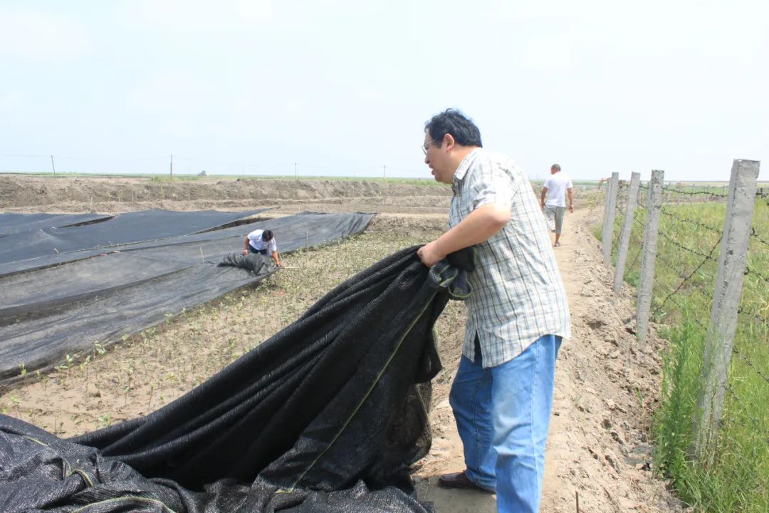 2011年，钟扬教授生前种植红树。