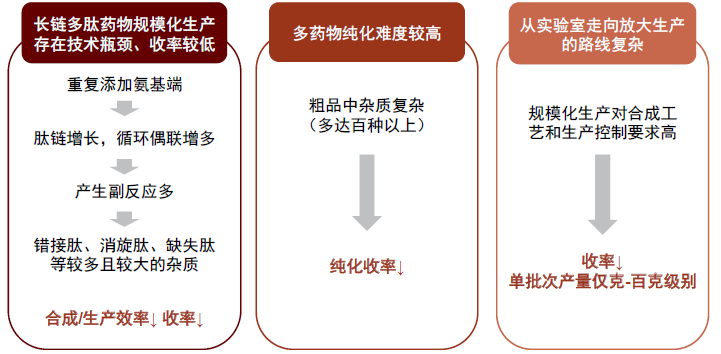 资料来源：《化学合成多肽药物要学研究技术指导原则(试行)》，中金公司研究部