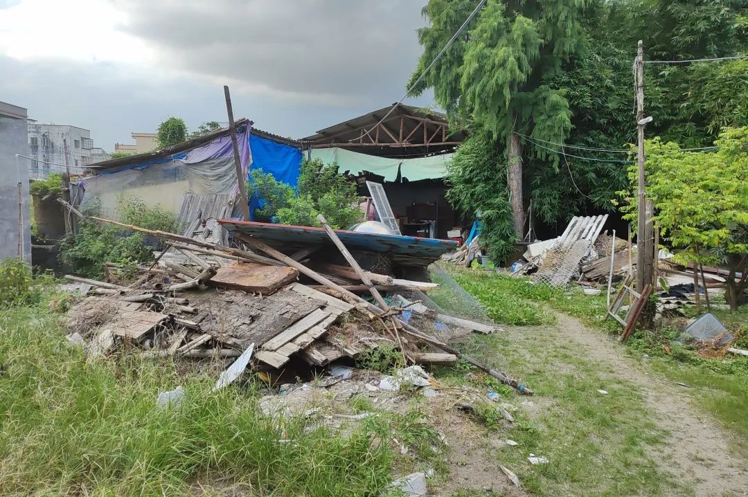 凤塘镇:交叉互查找不足 环境整治不放松 | 聚焦"百千万工程"