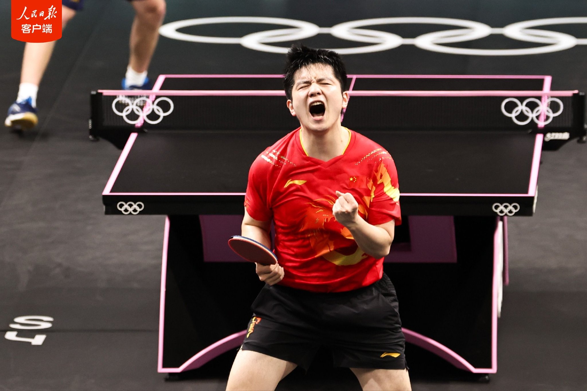 樊振东夺得乒乓球男单冠军,成就"大满贯"!