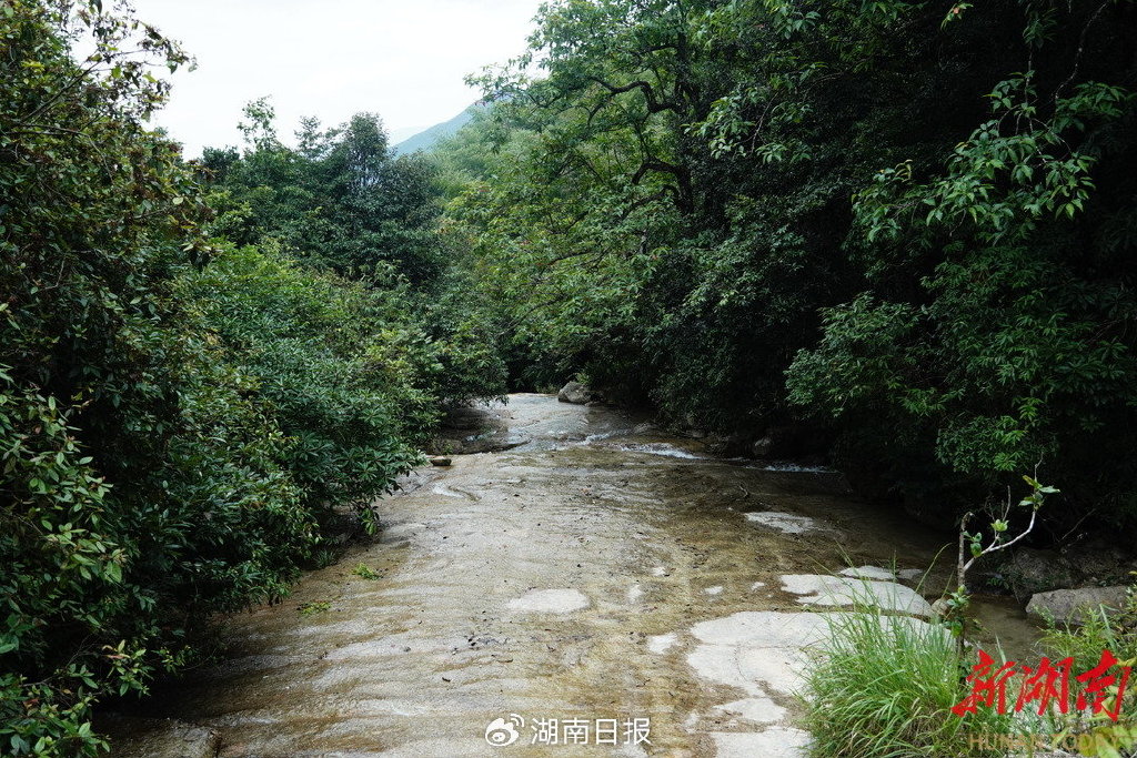 文化中国行61来源头,我"氧"你——探访蓝山县湘江源景区