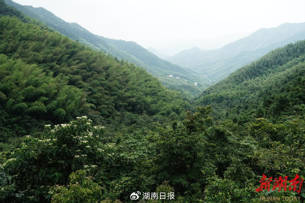 文化中国行61来源头,我"氧"你——探访蓝山县湘江源景区