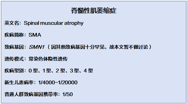 国际sma关爱日 