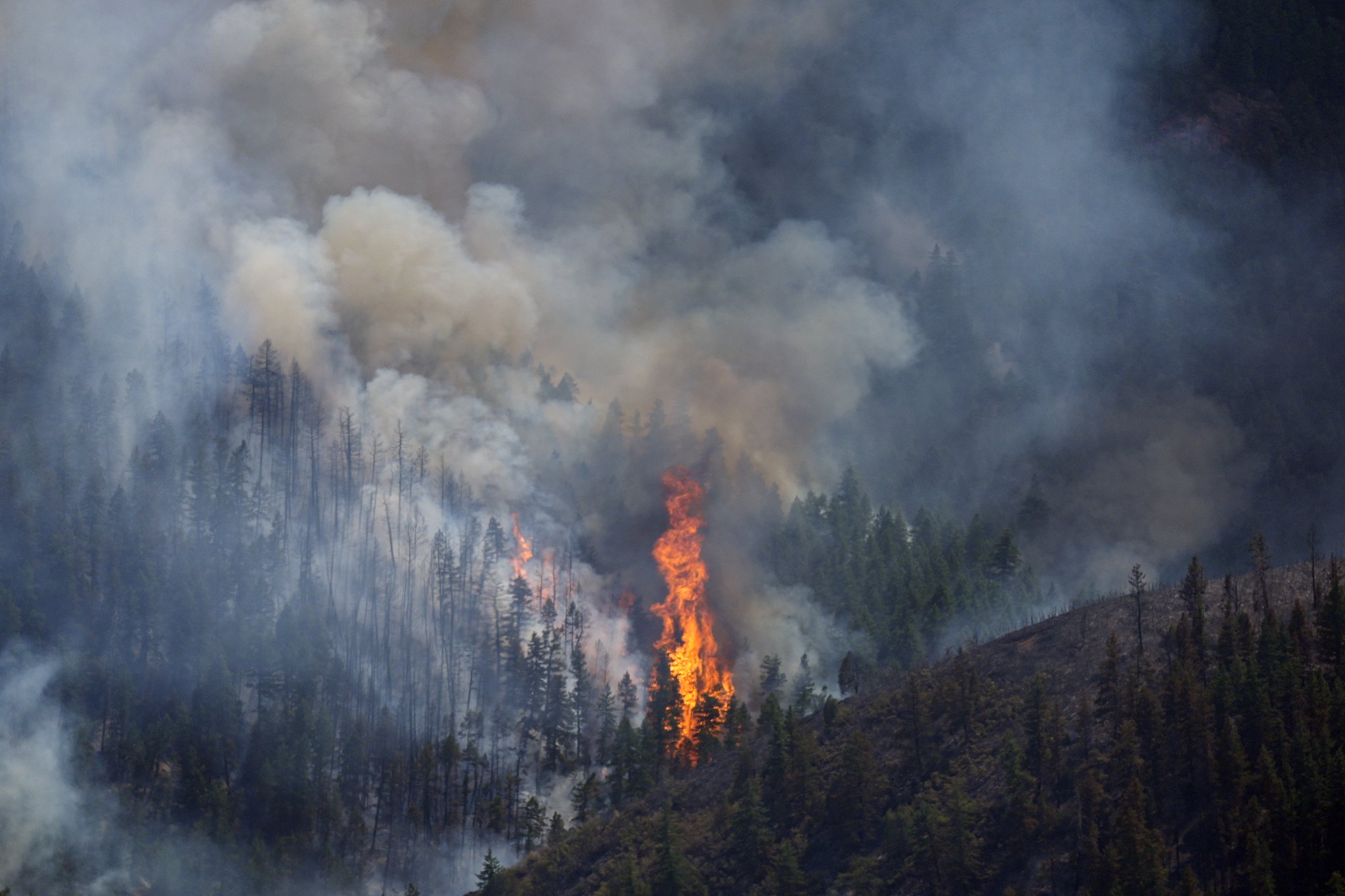 最新消息披露：全套服务到底包括哪些内容，看完这篇你就明白了