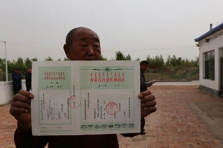 张润焕向记者展示1982年冯耀华颁发的"林权证".
