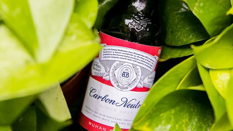 百威啤酒 "销量" 大幅下滑!