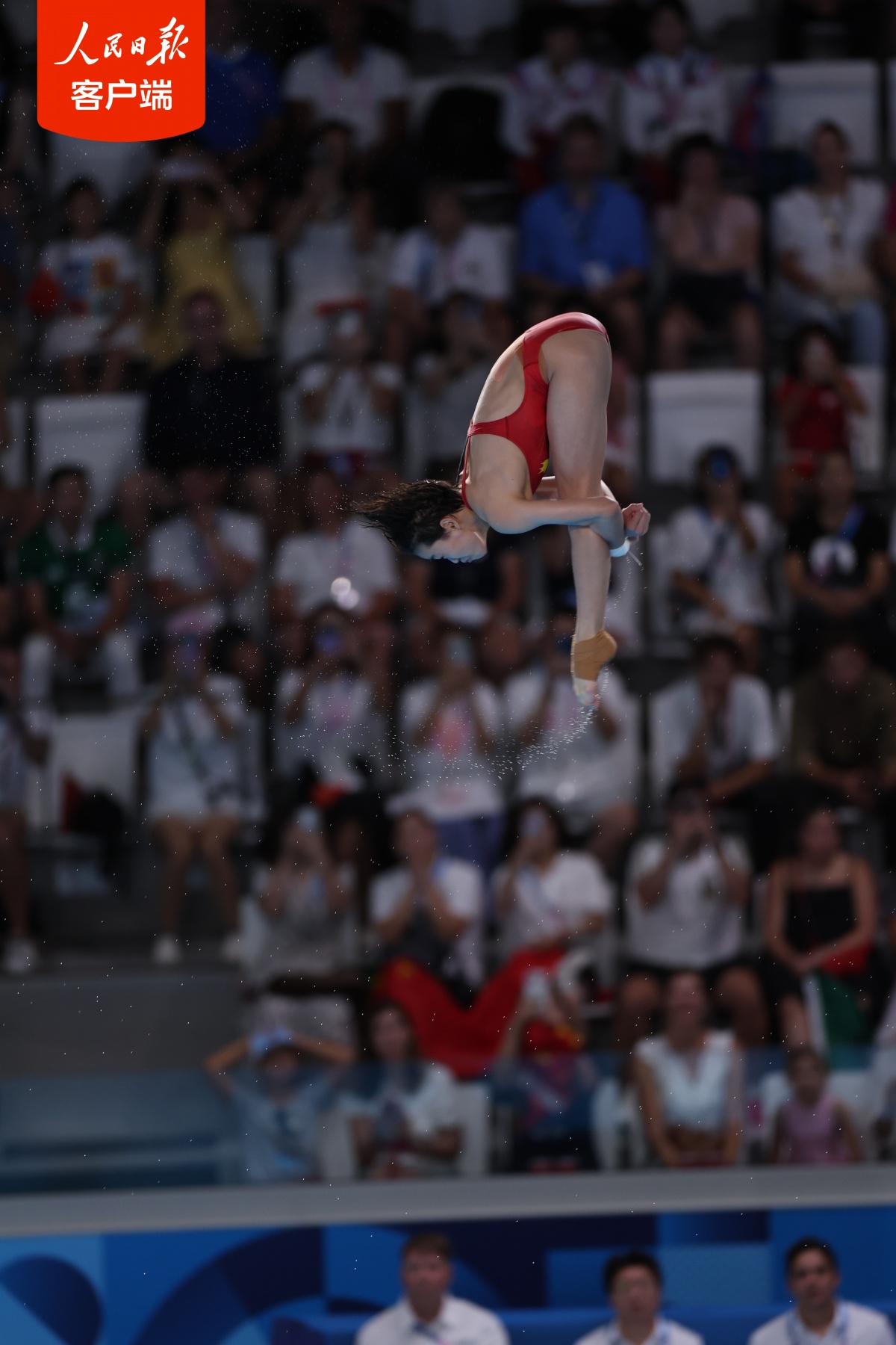 第22金!全红婵夺得跳水女子十米台冠军
