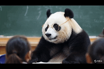 ↑可灵：真·熊猫大师讲课图，没得说，优秀！