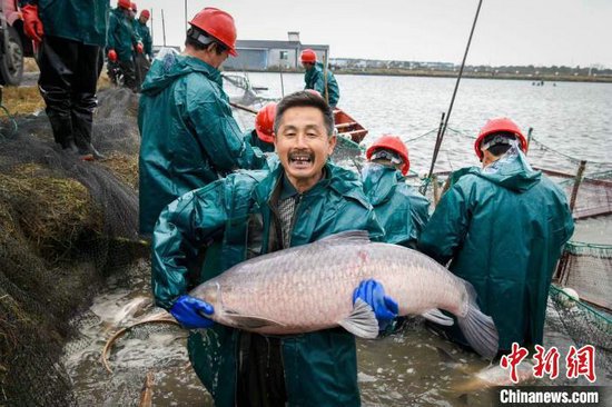 渔民丰收(资料图) 沈勇强供图