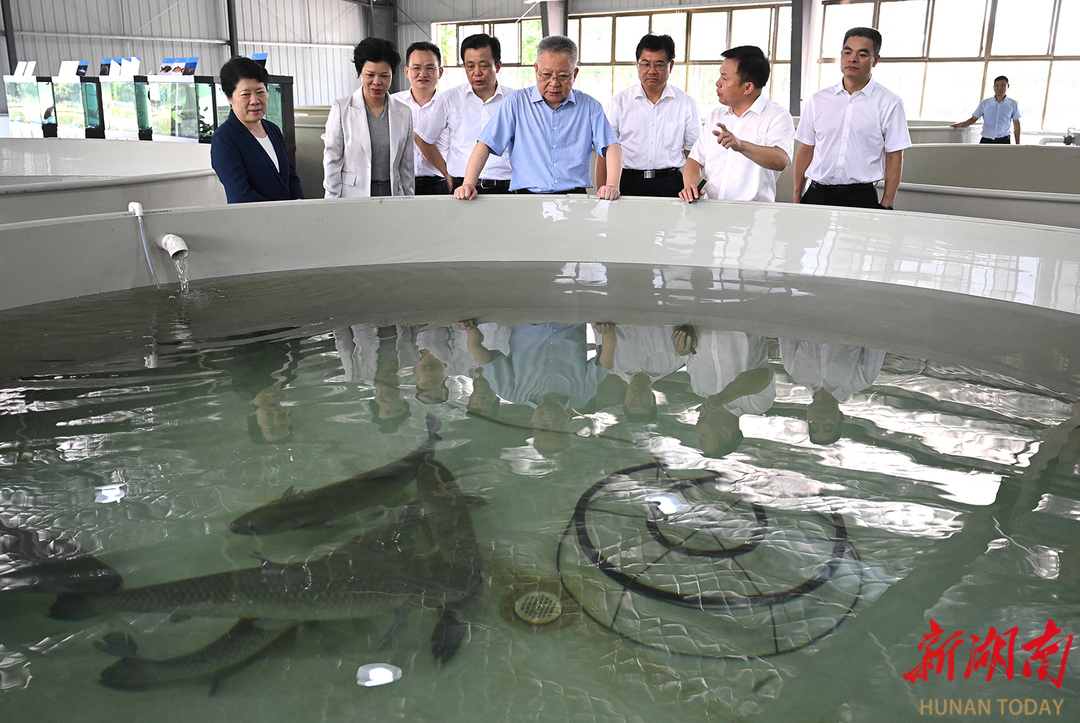 8月6日，沈晓明在湖南省水产科学研究所调研。