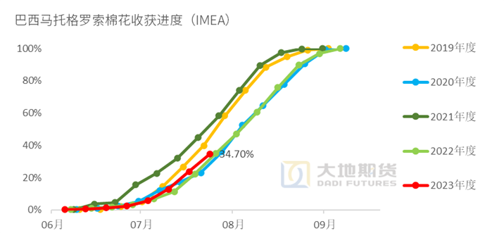 数据来源:路透,IMEA,USDA,大地期货研究院