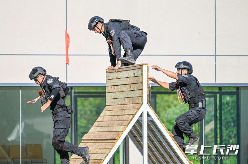 夏练三伏,冬练三九,"战味"十足的特警队员们勤学苦练,成为守护万家