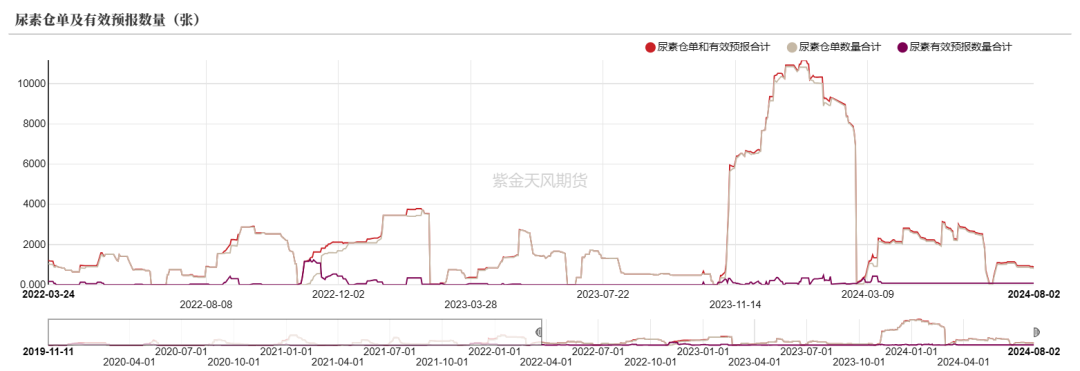 数据来源:郑商所,WIND,紫金天风期货