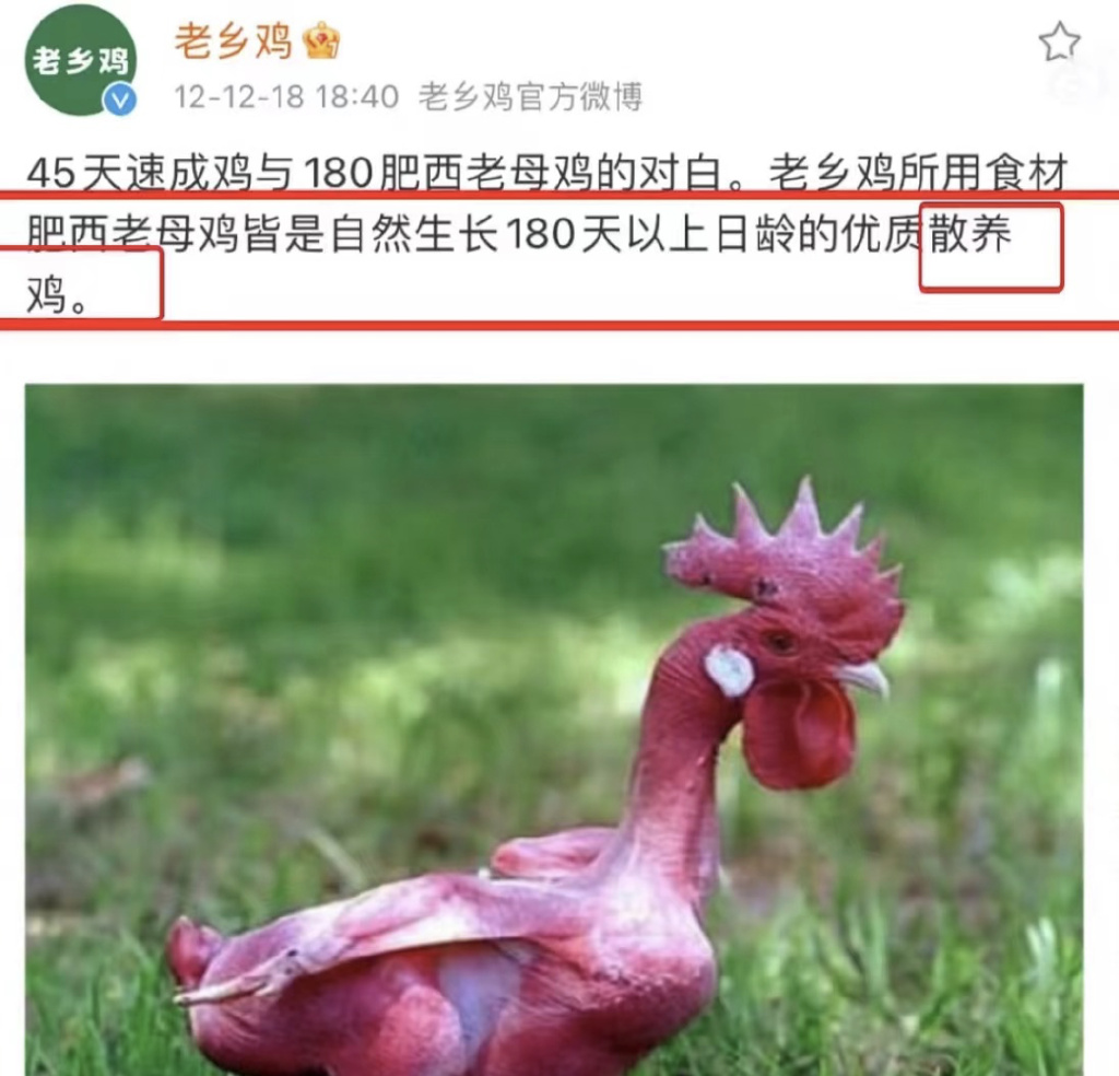 图/网络截图