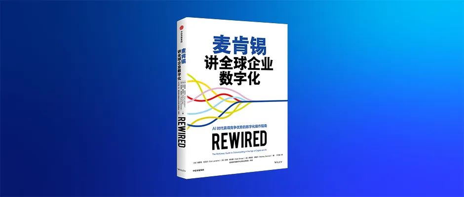 麦肯锡王玮:ai,出海推动数字化深化,系统性思维不足成中企短板