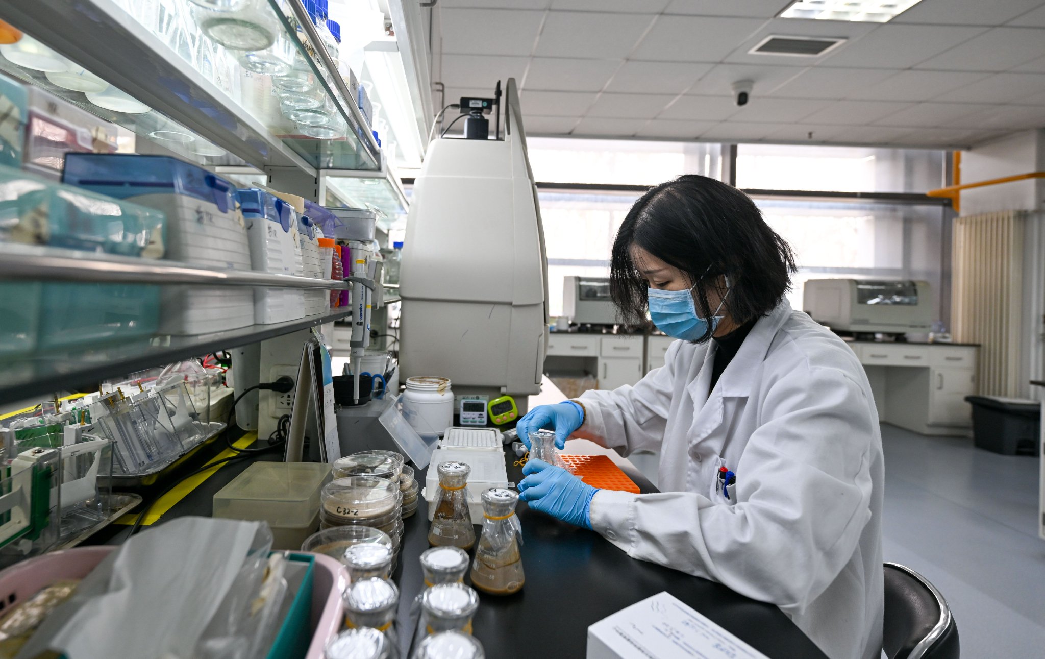 在中国科学院天津工业生物技术研究所,科研工作人员在实验中(2024年1