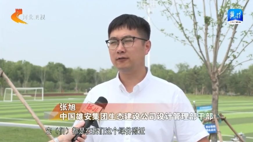 解锁雄安城市新功能④ | 雄安新区:公园里的"一座城"