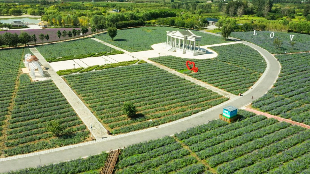 安国市药博园.安国市委宣传部供图