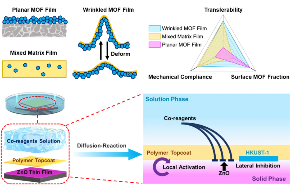 ▲ 制备具有图灵图案的褶皱 MOF 薄膜的限域界面合成方法