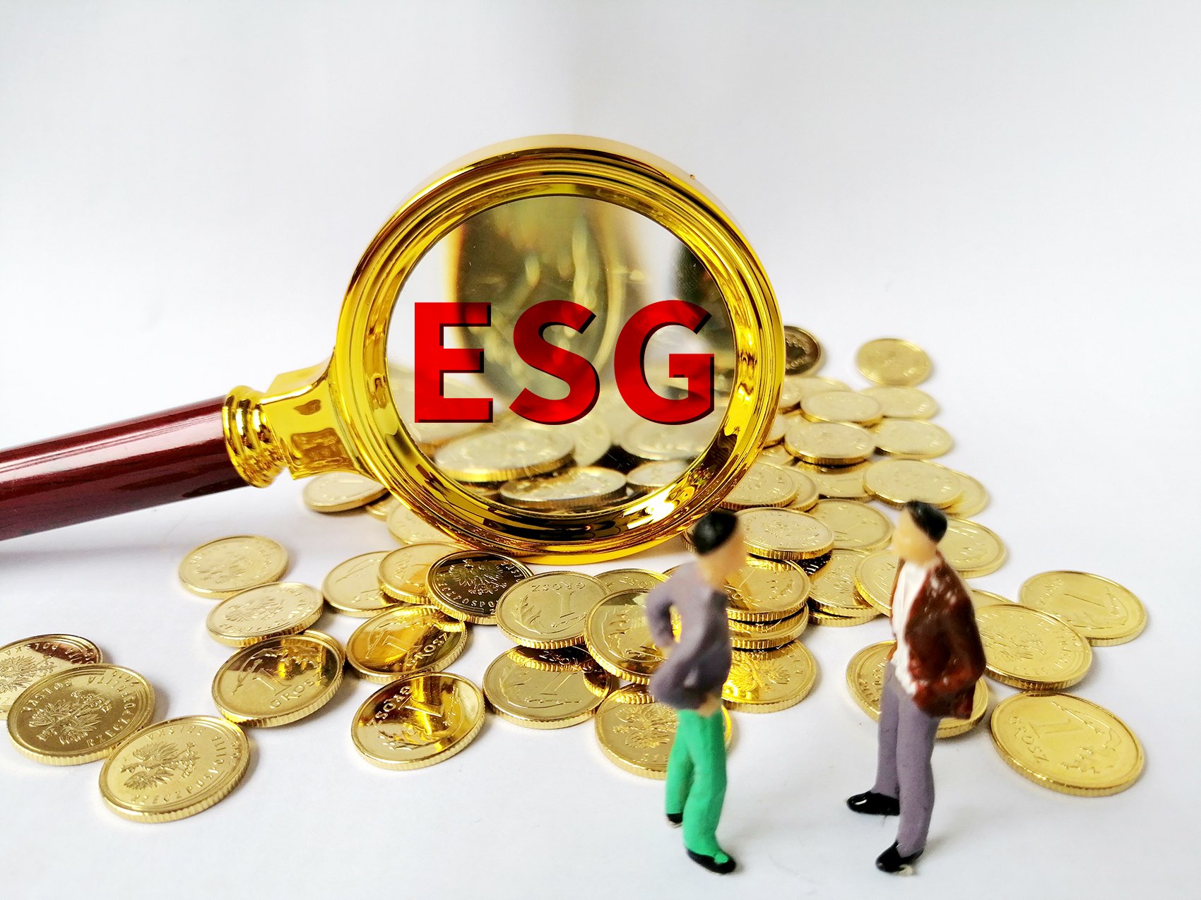 图片来源:每日经济新闻 刘国梅 摄