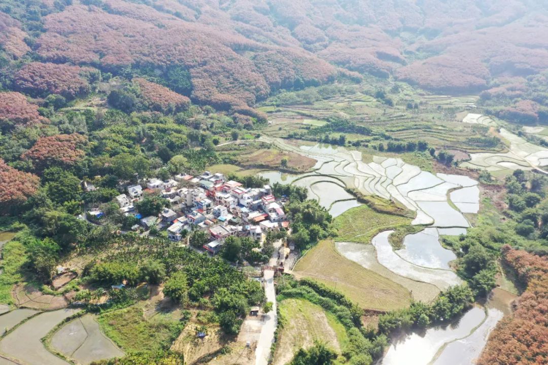 白沙将在环热带雨林国家公园旅游公路沿线打