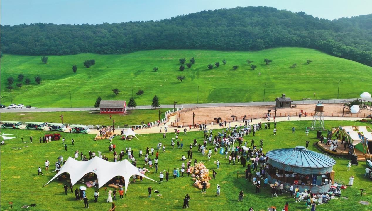 本报记者  杨靖岫  摄图:在丹东大鹿岛海岛文化旅游节上,游客在欣赏