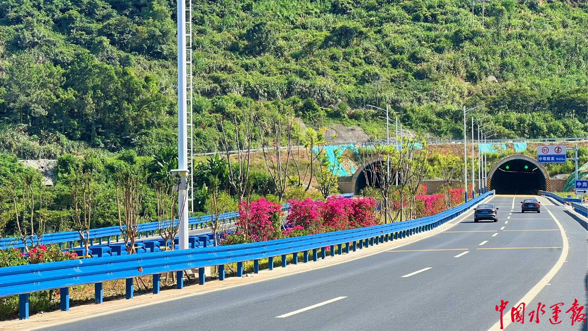 中国最美沿海公路苍南龙沙至岱岭段项目验收