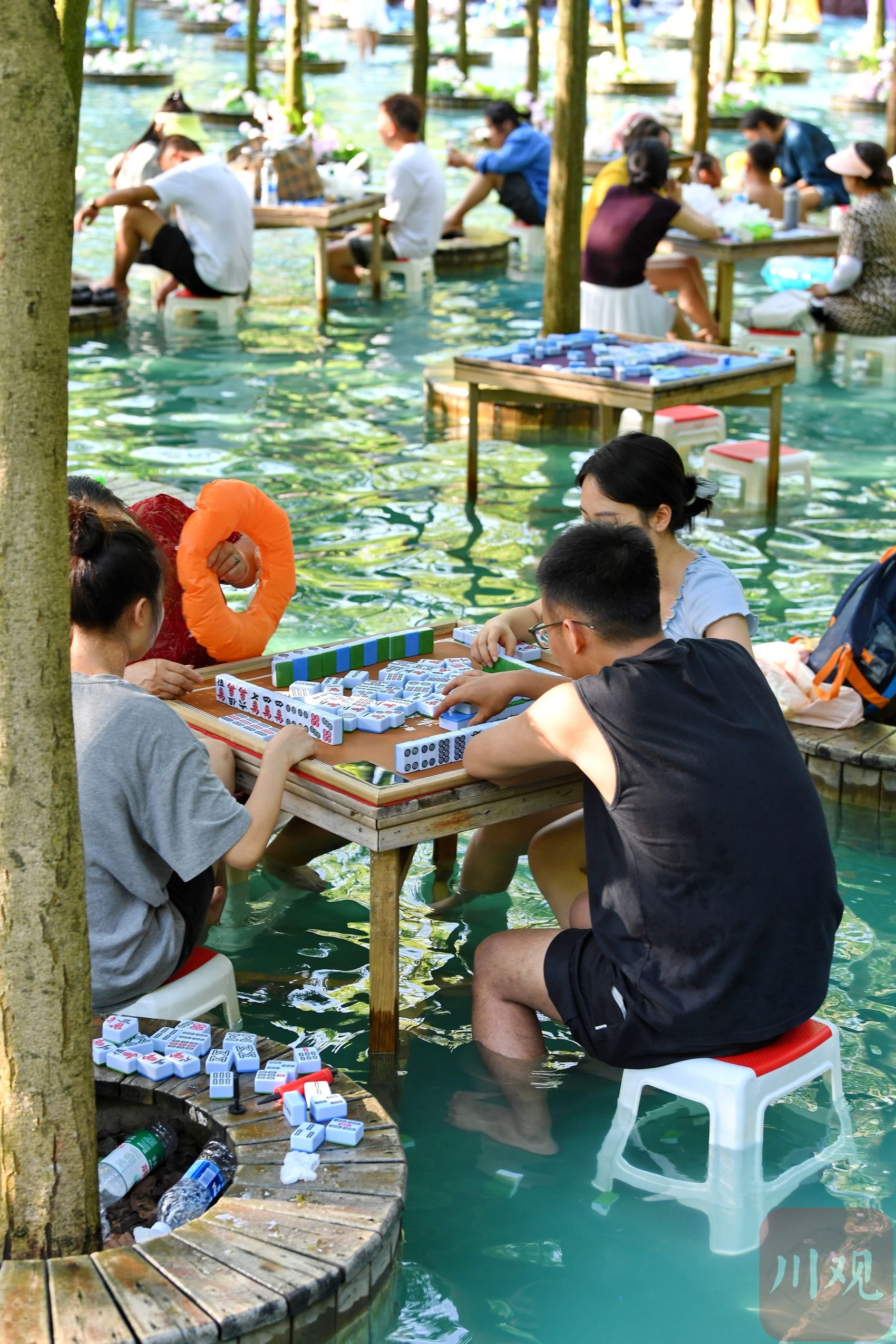 c视频丨四川成都:高温持续 打"水上麻将"享清凉