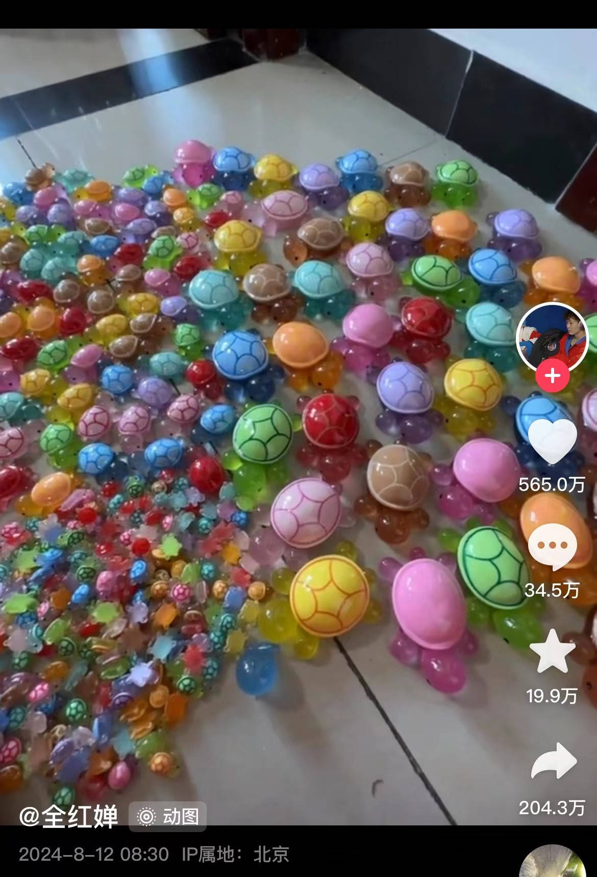 "硬控"全红婵的"乌龟盲盒"直播间,为何让人上头?